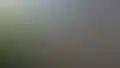 Открыть изображение 8