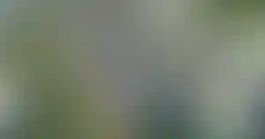 На генплане